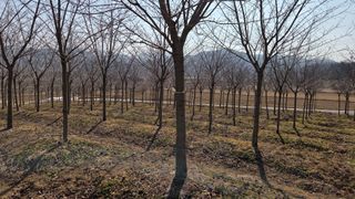 정진우님의 기타작물 · 영농일지 작성글 사진