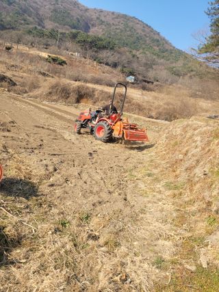 김선순(공룡자색마)님의 고추 · 영농일지 작성글 사진