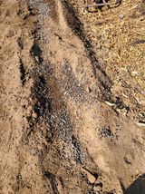 팜모닝 감·영농일지 게시글 이미지