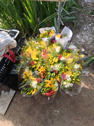 조희후 님의 기타작물 · 영농일지 작성글 사진