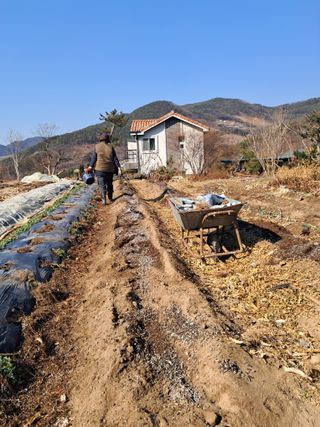 신 난다님의 감 · 영농일지 작성글 사진