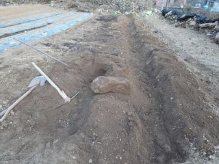 한정술님의 감자 · 영농일지 작성글 사진