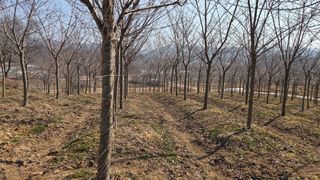 정진우님의 기타작물 · 영농일지 작성글 사진