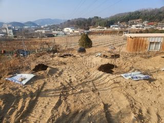 이세호님의 감 · 영농일지 작성글 사진