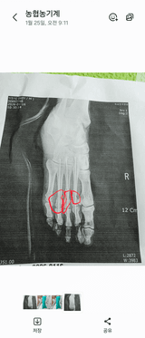 팜모닝 기타작물·영농일지 게시글 이미지