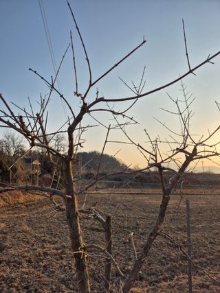 장재갑님의 기타작물 · 영농일지 작성글 사진