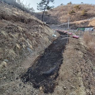 가로수님의 기타작물 · 영농일지 작성글 사진