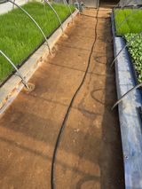 마늘25328님의 작성글 사진