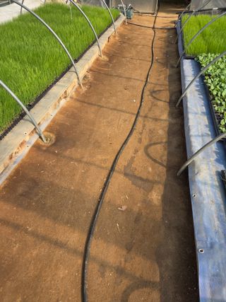 마늘25328님의 호박 · 영농일지 작성글 사진