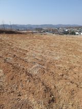 팜모닝 참깨·영농일지 게시글 이미지