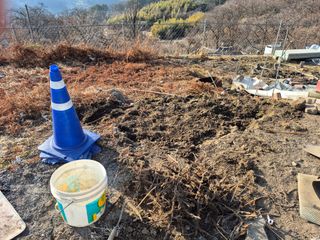 이준영님의 기타작물 · 영농일지 작성글 사진