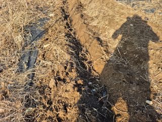 이준영님의 기타작물 · 영농일지 작성글 사진