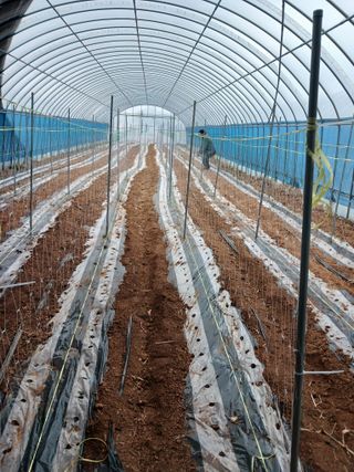 김영경님의 기타작물 · 영농일지 작성글 사진