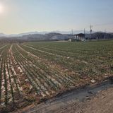 팜모닝 기타작물·영농일지 게시글 이미지