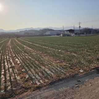 김상원 님의 기타작물 · 영농일지 작성글 사진