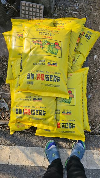 두레박님의 옥수수 · 영농일지 작성글 사진