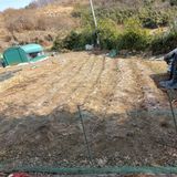 팜모닝 감자·영농일지 게시글 이미지