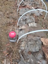 팜모닝 기타작물·영농일지 게시글 이미지