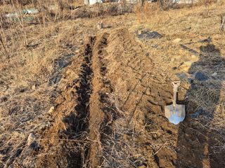 이준영님의 기타작물 · 영농일지 작성글 사진