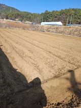 팜모닝 감자·영농일지 게시글 이미지