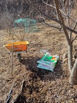 팜모닝 기타작물·영농일지 게시글 이미지