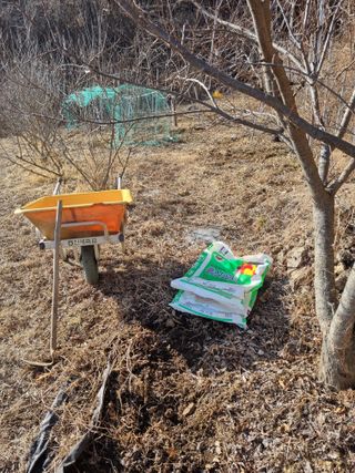 심기섭님의 기타작물 · 영농일지 작성글 사진