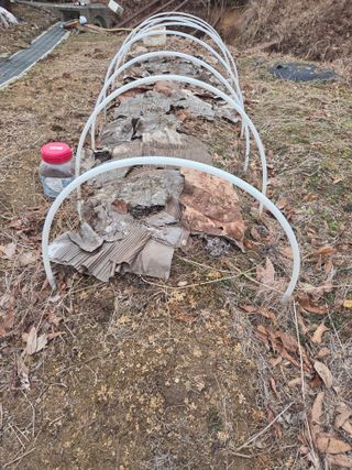 김정은님의 기타작물 · 영농일지 작성글 사진