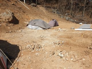 김순곤님의 기타작물 · 영농일지 작성글 사진