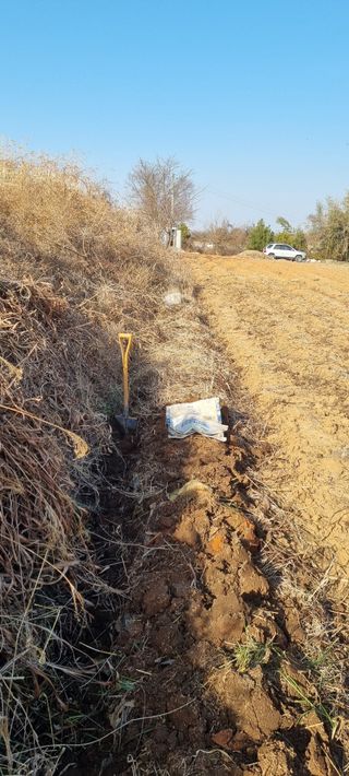 지용환님의 기타작물 · 영농일지 작성글 사진