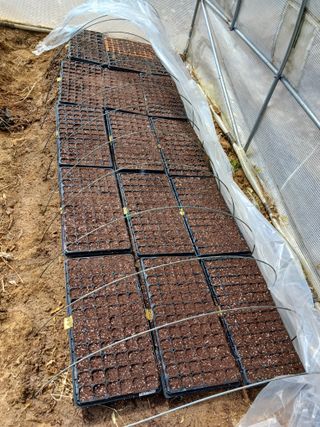 현지0106님의 기타작물 · 영농일지 작성글 사진