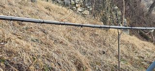 달맛햇복숭아농원님의 복숭아 · 영농일지 작성글 사진