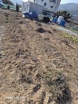 덕포킴님의 작성글 사진