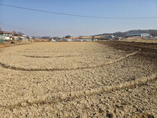 김병창님의 기타작물 · 영농일지 작성글 사진