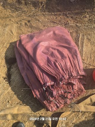 정택님의 감자 · 영농일지 작성글 사진