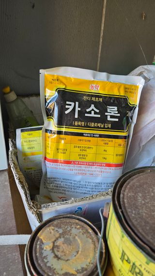 가야산아래촌농님의 기타작물 · 영농일지 작성글 사진