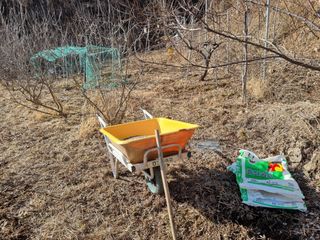 심기섭님의 기타작물 · 영농일지 작성글 사진