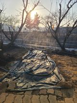 팜모닝 딸기·영농일지 게시글 이미지