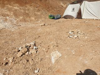 김순곤님의 기타작물 · 영농일지 작성글 사진