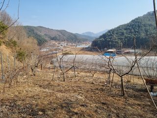 심기섭님의 기타작물 · 영농일지 작성글 사진