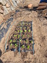 김기탁님의 작성글 사진