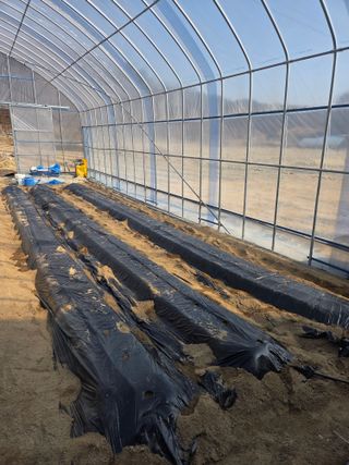 장두학님의 감자 · 영농일지 작성글 사진