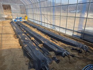 장두학님의 감자 · 영농일지 작성글 사진