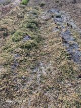 덕포킴님의 작성글 사진