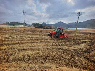 오이8898황산면님의 벼 · 영농일지 작성글 사진