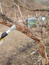 팜모닝 감·영농일지 게시글 이미지