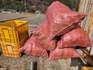 늘햇살팜 님의 기타작물 · 영농일지 작성글 사진