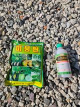 팜모닝 블루베리·영농일지 게시글 이미지