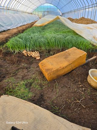 우희태님의 기타작물 · 영농일지 작성글 사진