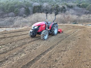 해솔농원님의 옥수수 · 영농일지 작성글 사진