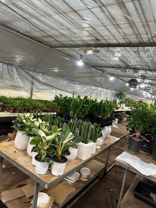 두릅나무15847님의 기타작물 · 영농일지 작성글 사진